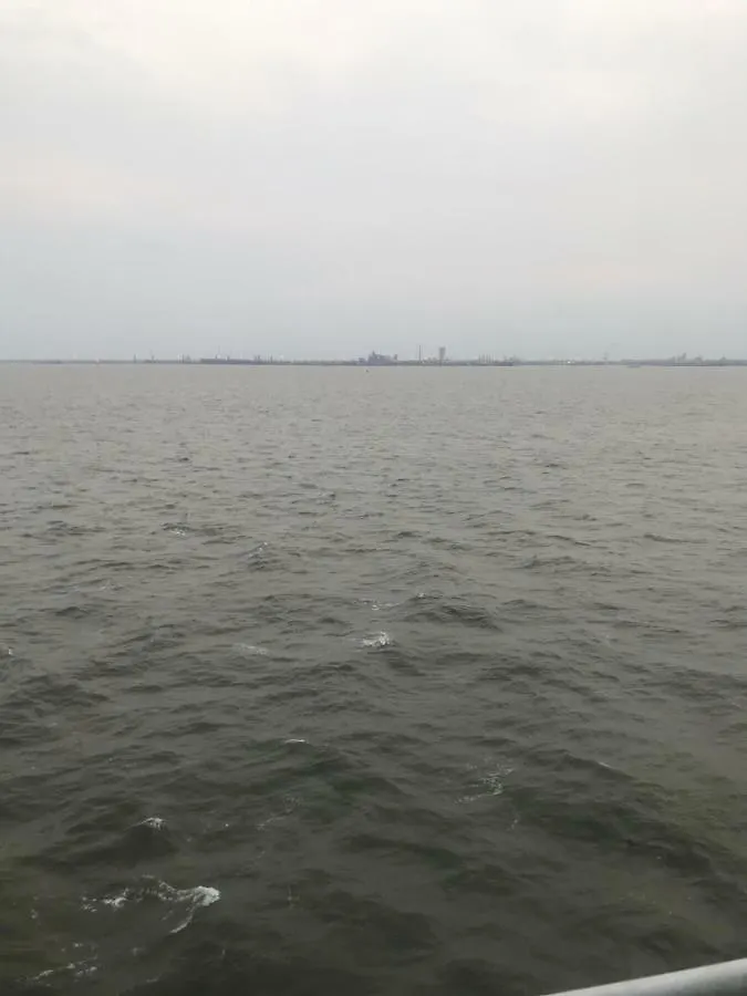 Davit'S Apartment. Апартаменты Давита Batumi 0*,  Georgia
